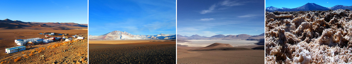 星空官方網(wǎng)頁版