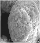 星空官方網頁版